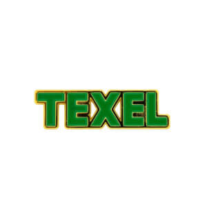 Metalen Souvenirmagneet “Texel” Goud/Groen