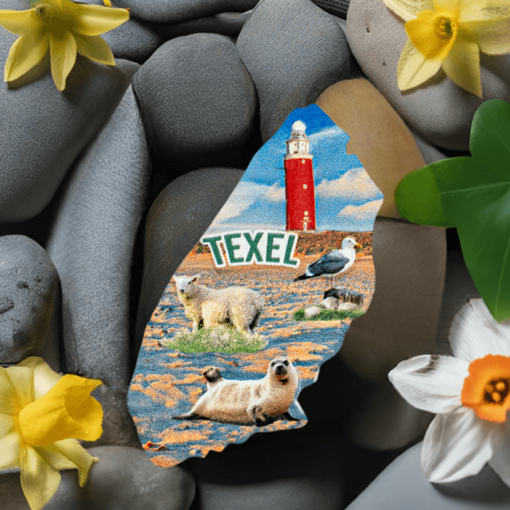 Texel eilandvorm magneet - Resin